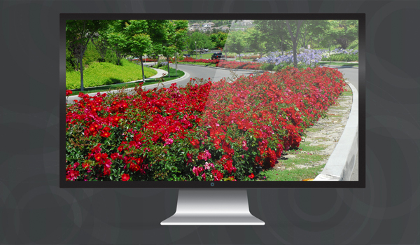 Make your landscaping website work for you!